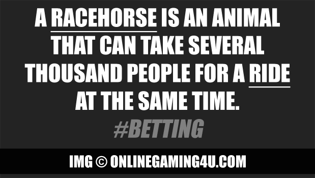 A racehorse is an animal that…